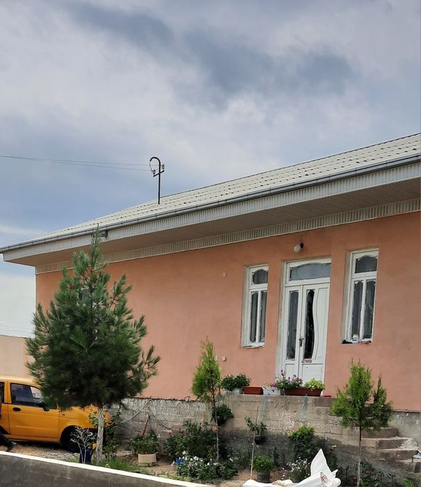 Дом на земле природа