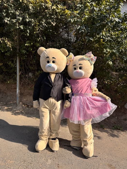 Мишка на прокат Алматы