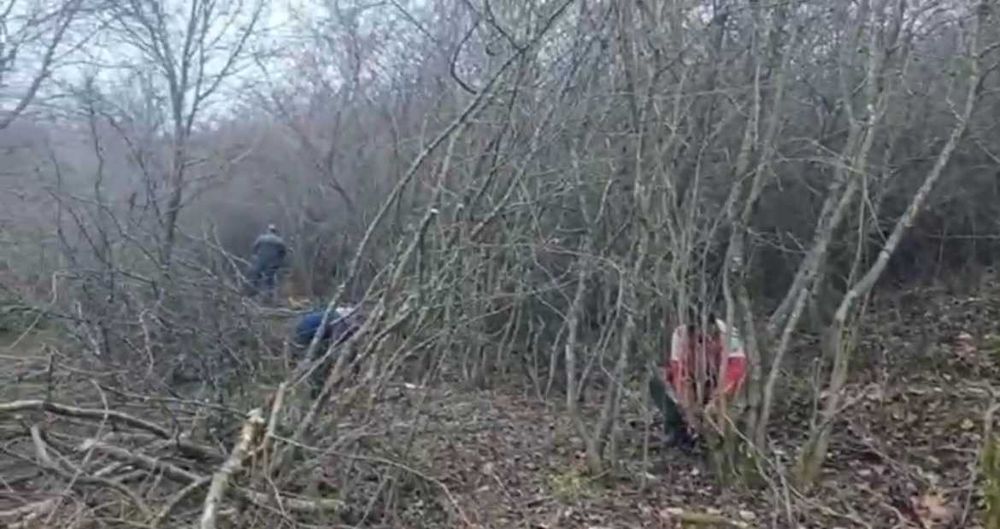 Defrisam livezi GRATIS! CURATAM/DEFRISAM terenuri in Cluj Napoca