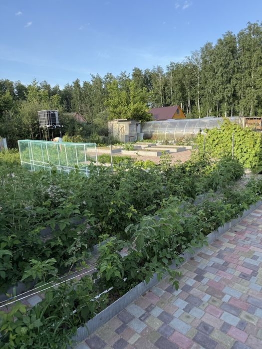 Продам дачу в СТ Веснянка