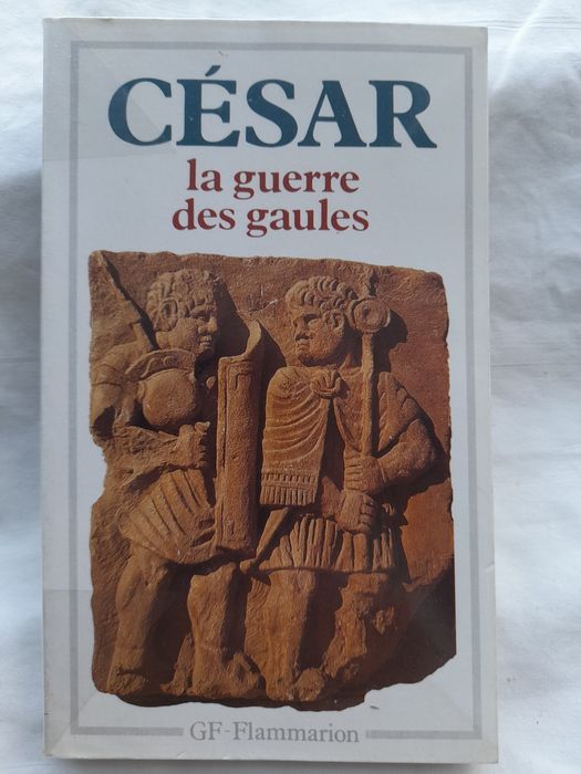 La Guerre des Gaules
