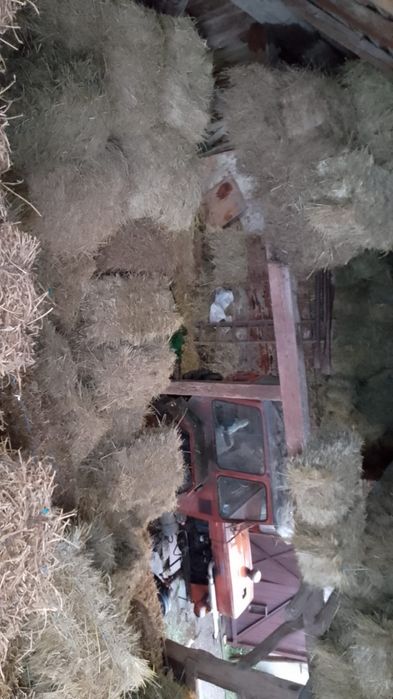 Baloti Fân Si Otavă