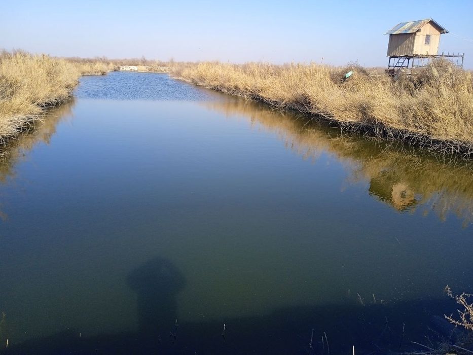 Баликхона сотилади