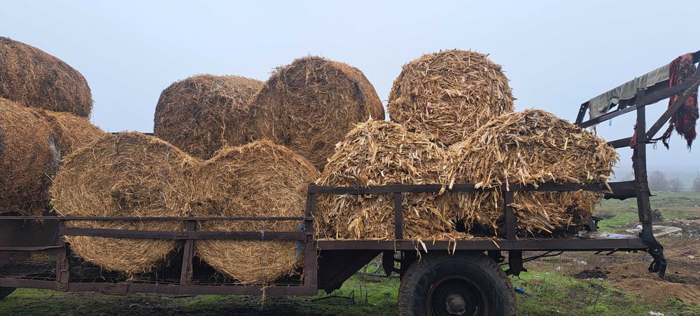 Vând baloti de coceni și mazăre