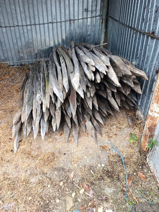 Pari vie ascutiti la ambele capete