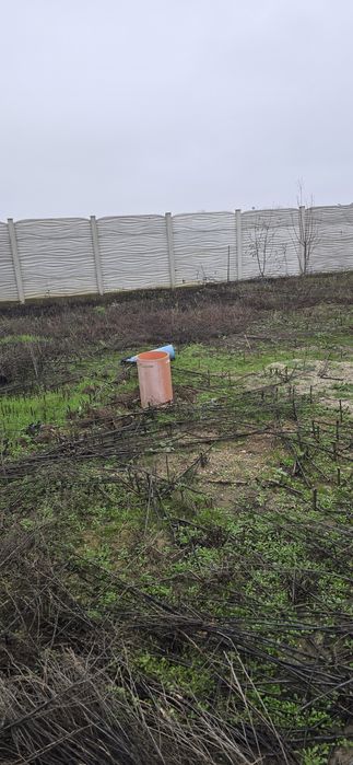 Vând teren com.Vidra jud if 534m2