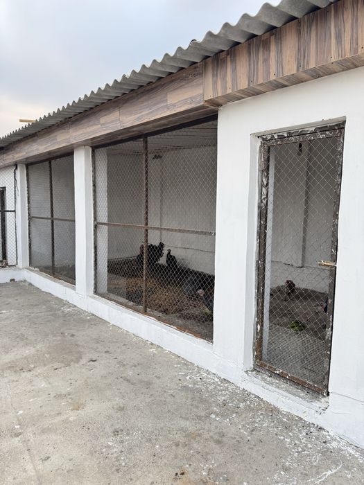 Қора сатылады жағдае жасалған