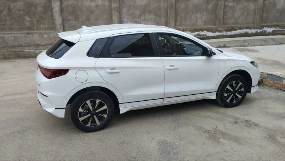 Byd e2 pod zakaz