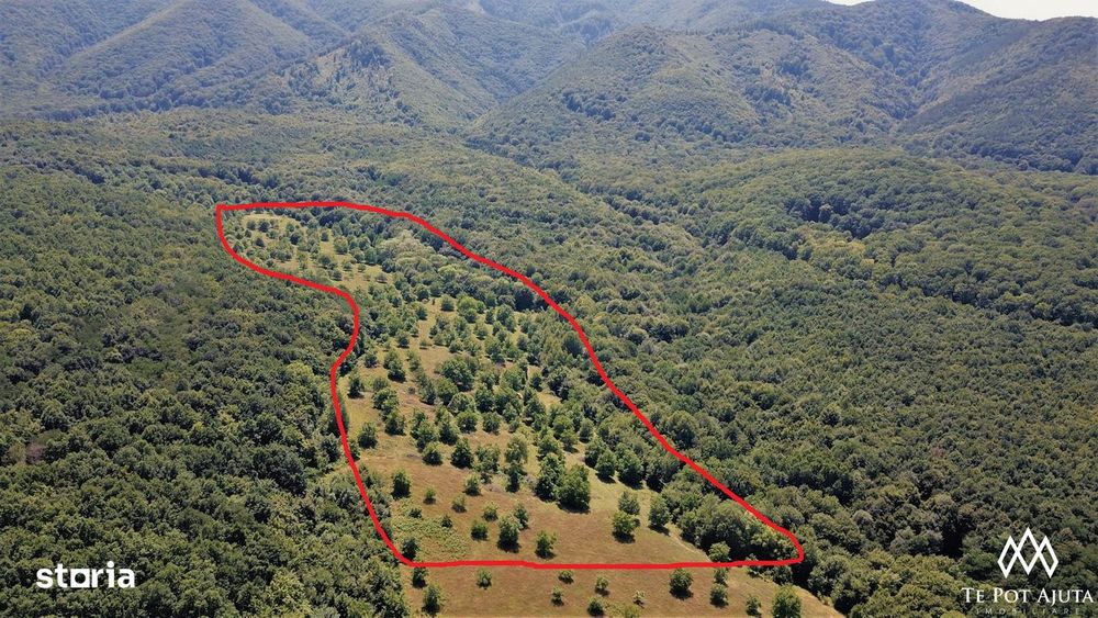 Livadă de Nuci, 11 Hectare comasate, Cisnădie, Jud. Sibiu