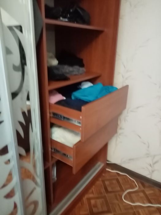 ШКАФ-КУПЕ (двери зеркало с рисунком)