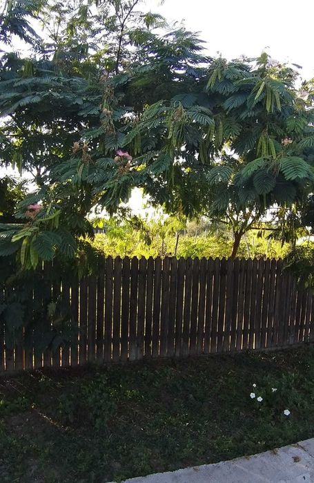 Teren intravilan sat Unirea