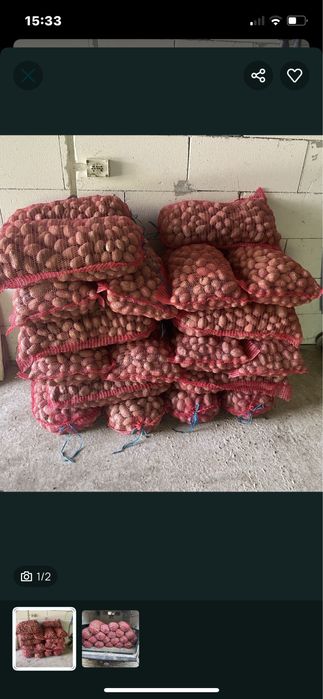 Cartofi rosi pentru animale