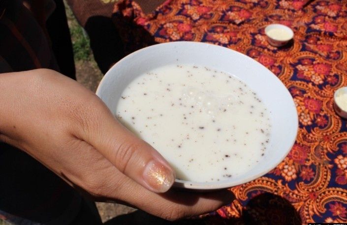 Домашний Кымыз. Шубат. Кумыс. Қымыз. Шұбат. Курт, Құрт,