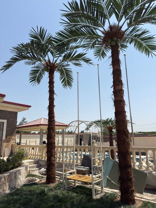 Декоративные пальмы ZELENO — для дома, дача ,кафе