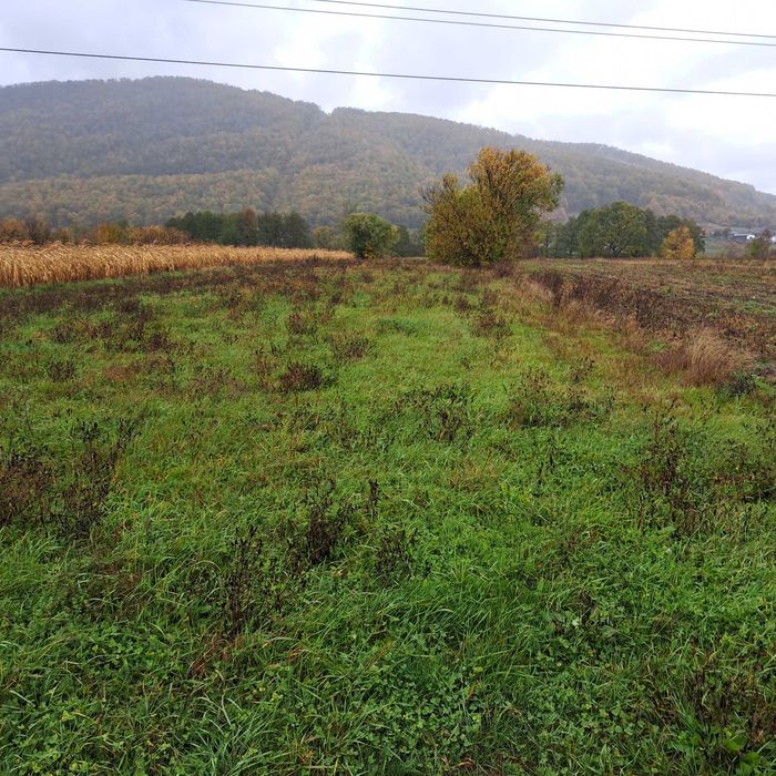 Vând teren Șuncuiuș