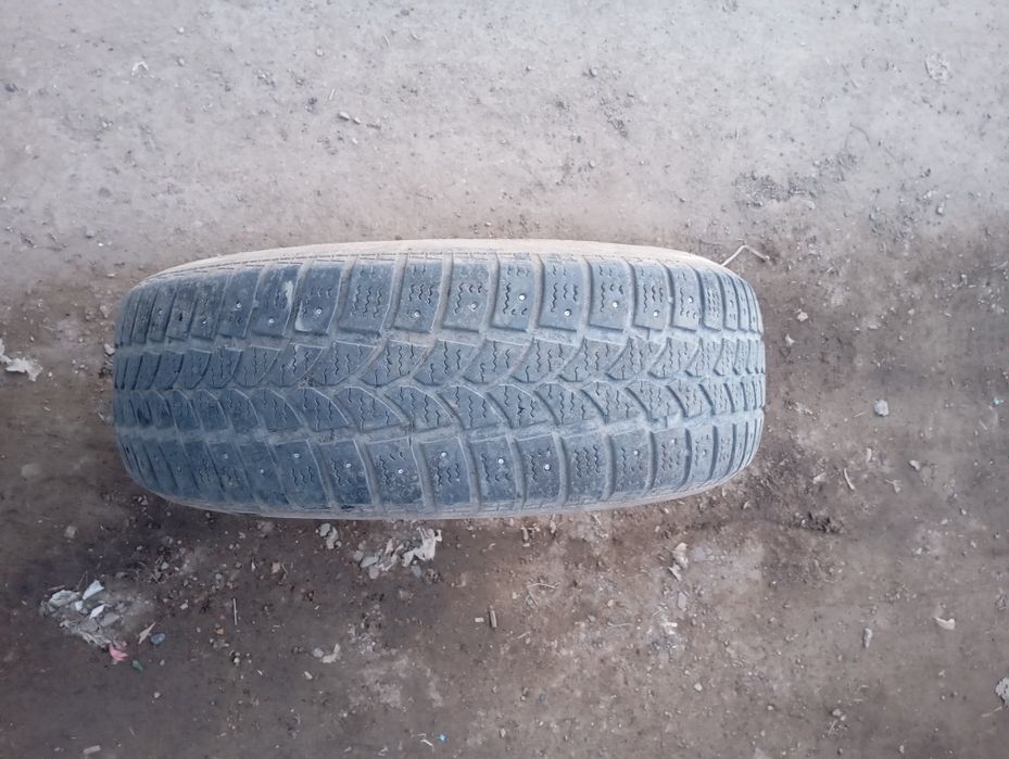 Продамм шина р15