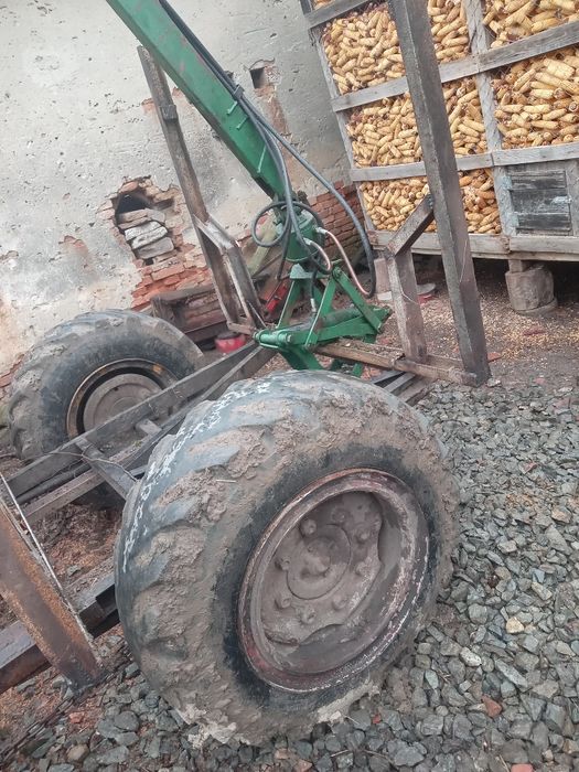 Vind macara forestiera