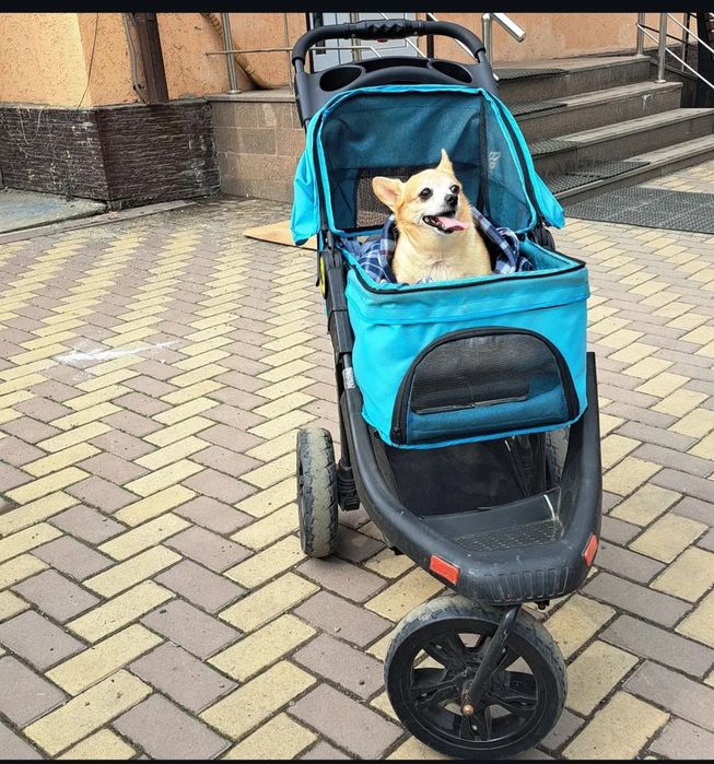Продам  коляску для собак