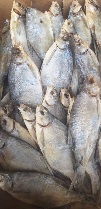 Рыба лещ холодного копчения, вяленый.