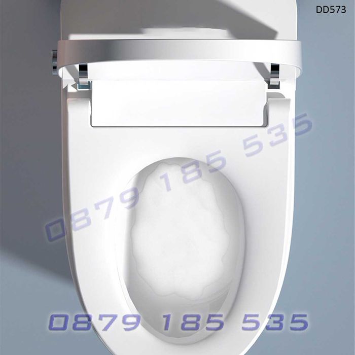 тоалетна бяла керамична интелигентни функции SMART Умна бяна моноблок