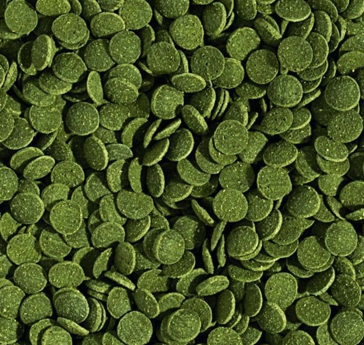 Храна за дънни риби и безгръбначни