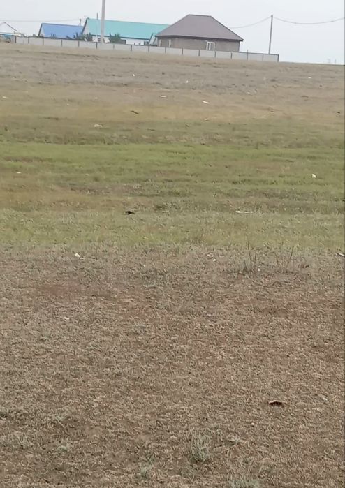 Продам земельный участок