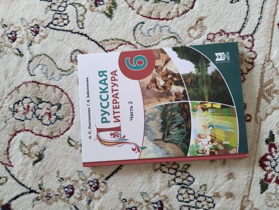 Книжки 6 класс новые