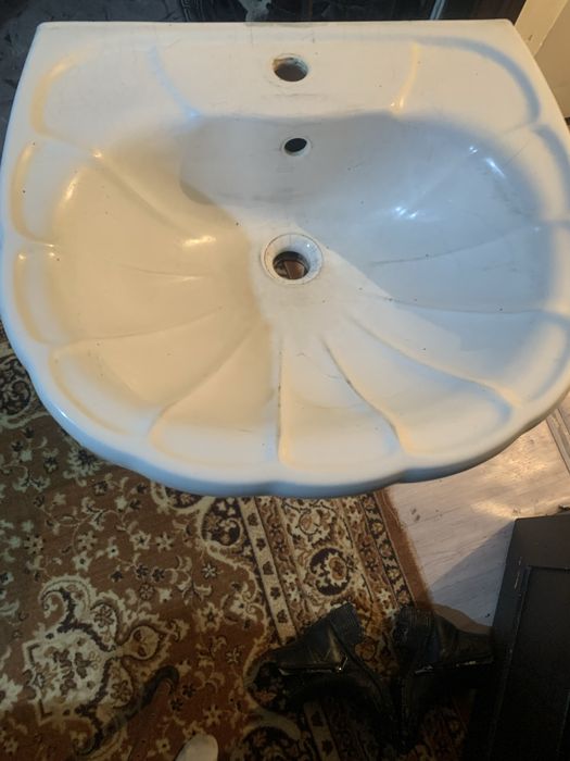 Тюлпан  раквина