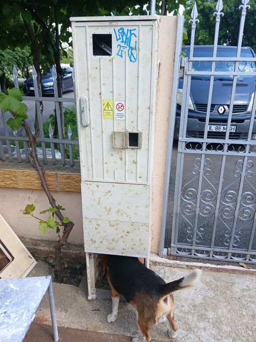 Cutie tablou electric