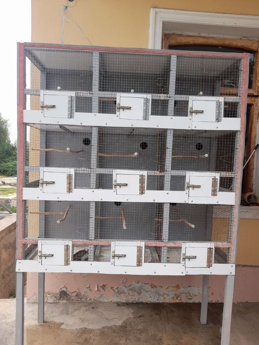 Qushlar uchun in sotiladi SROCNO