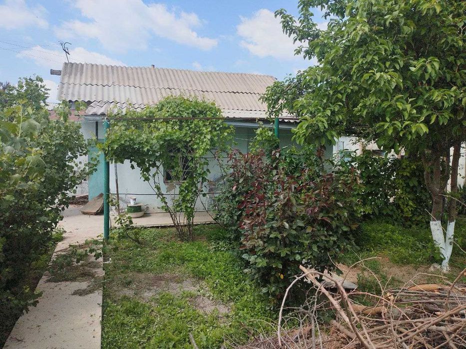 Продаю дачу,два участка по 6 соток,дом хоз постройки,плодовые деревья.