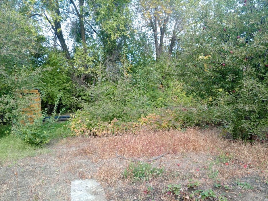 Продам дачный участок