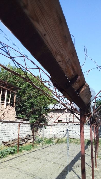 Parnik karkaz syomniy