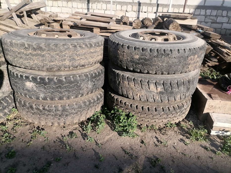 Баллоны 12*00 R 20