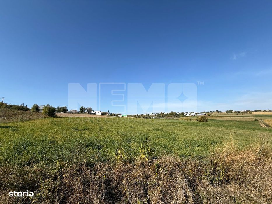 Teren intravilan Burla | 4.000 mp