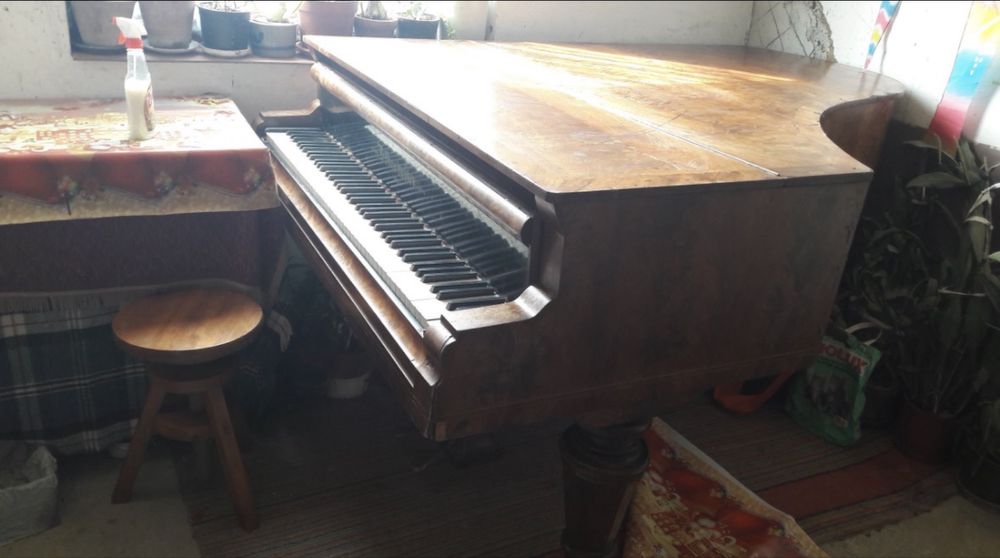 Pian Bösendorfer
