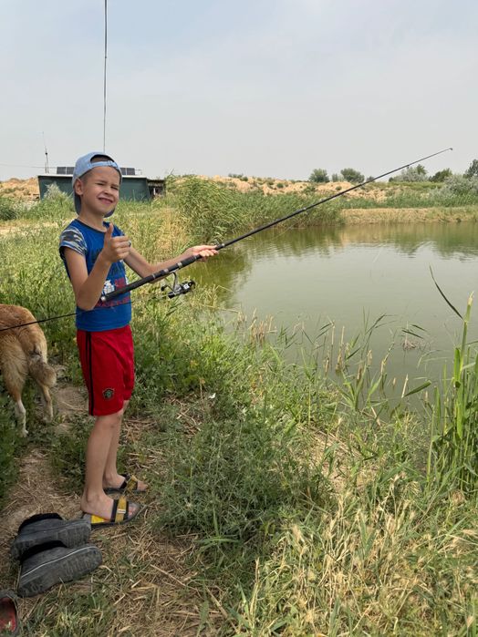 Рыбалка, сазан, свежий воздух