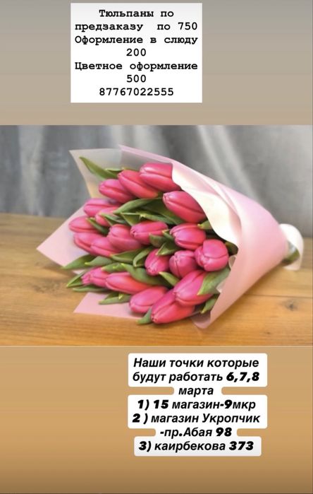 Беларусские тюльпаны 750 очень крупные