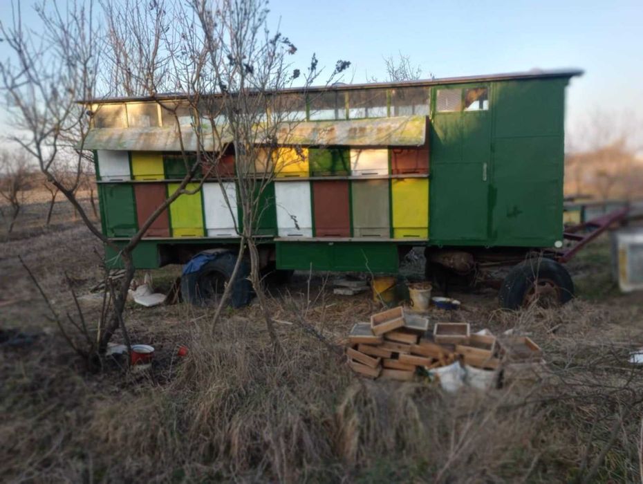 Vand Remorca Pavilion apicol