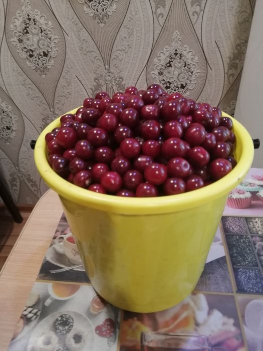 Дочная продукция.