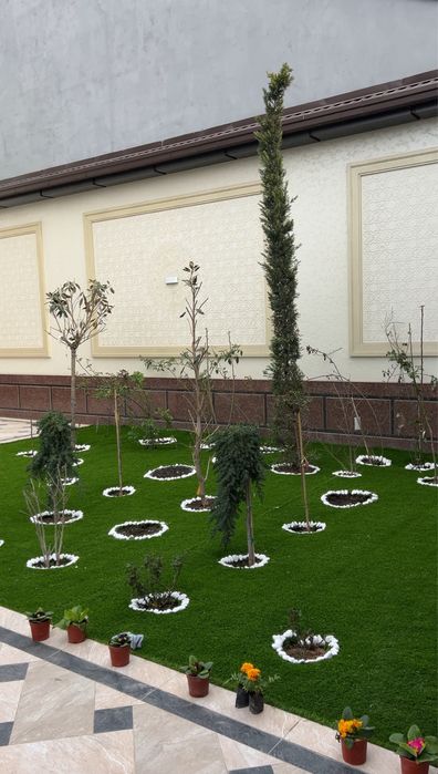 Suniy chim искусственный газон