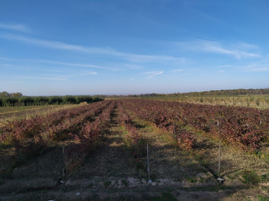 Продам Землю кха