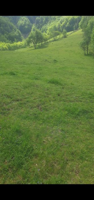 Teren de vânzare intravilan