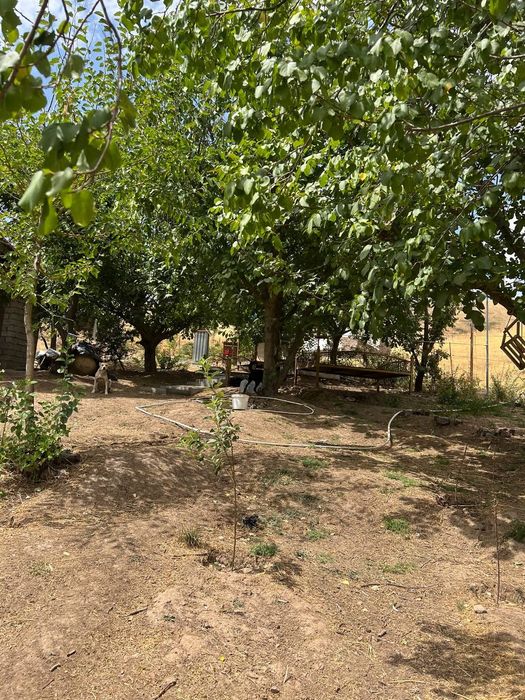 Продаётся земельный участок под дачу и дом !