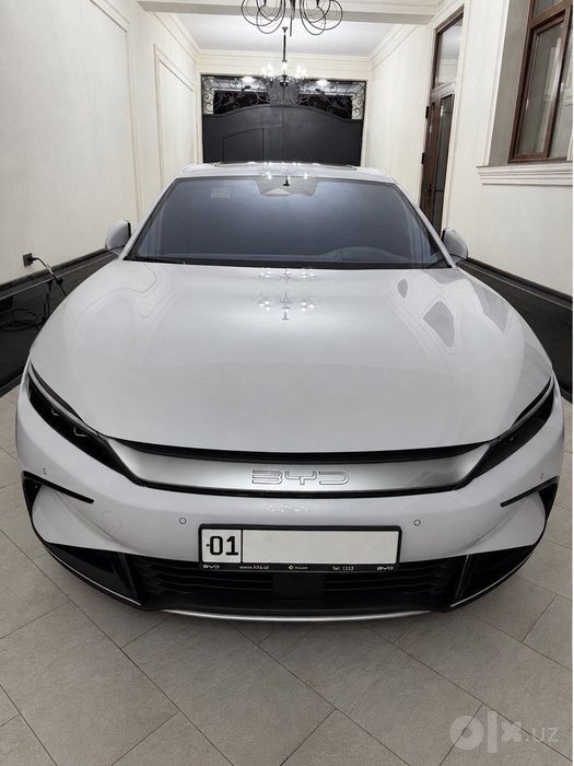 Byd Han 3,9 sek Toza