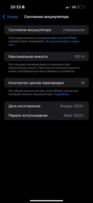 iPhone 16 pro max на 1 трб