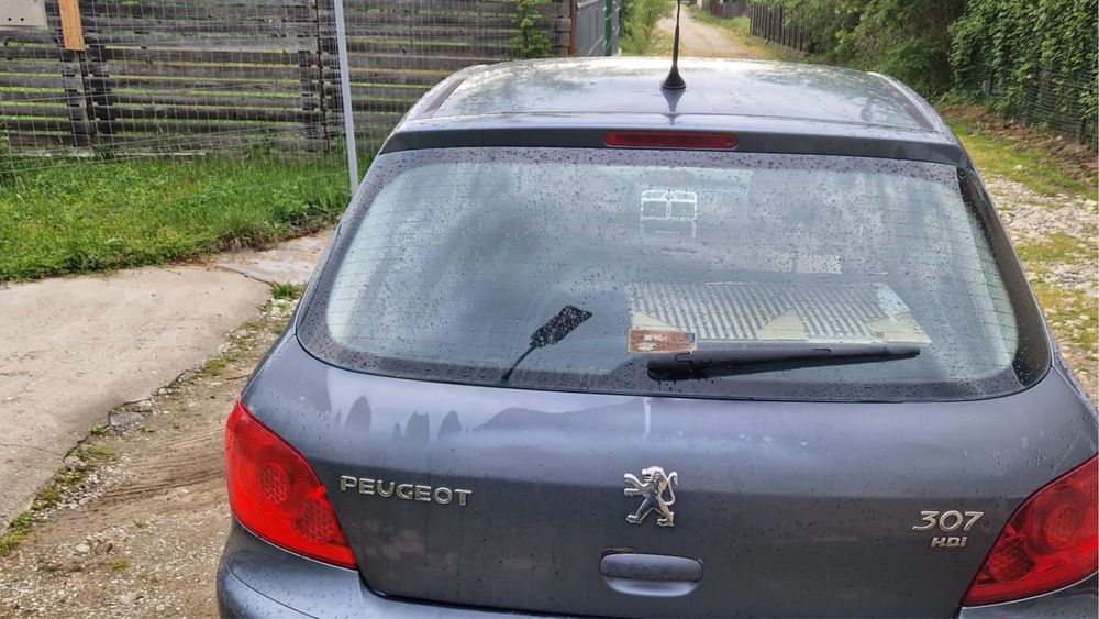 Peugeot, 307, an fabricatie2006
