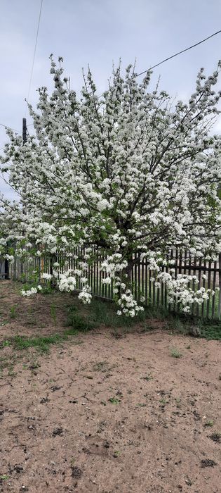 Продаётся дом посёлок каражар