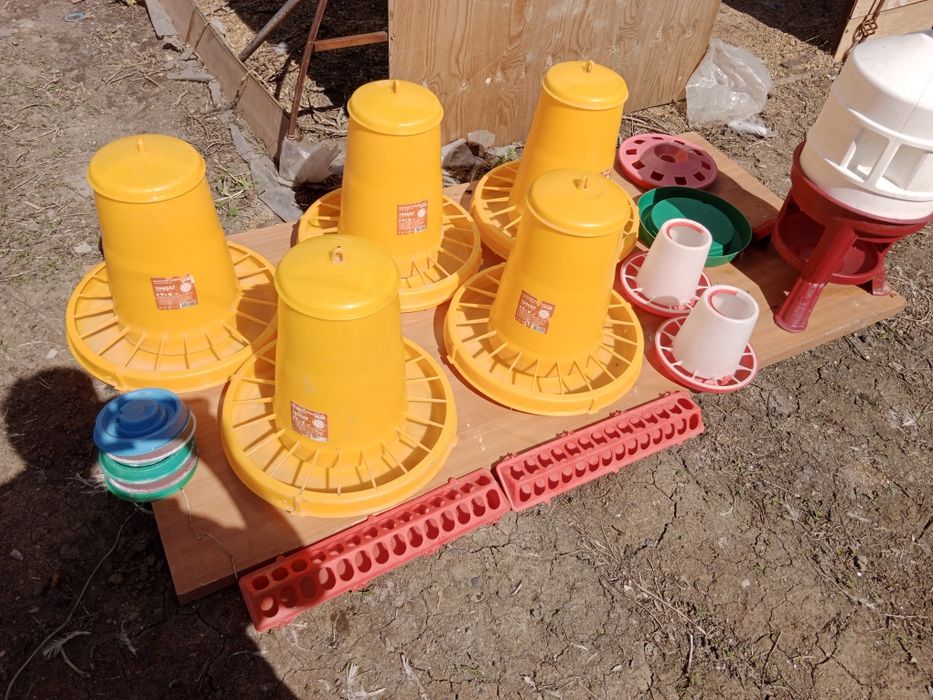 Кормушки для домашних птиц