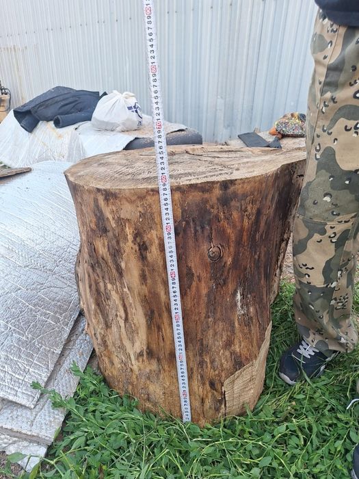 карагач бревна для декора